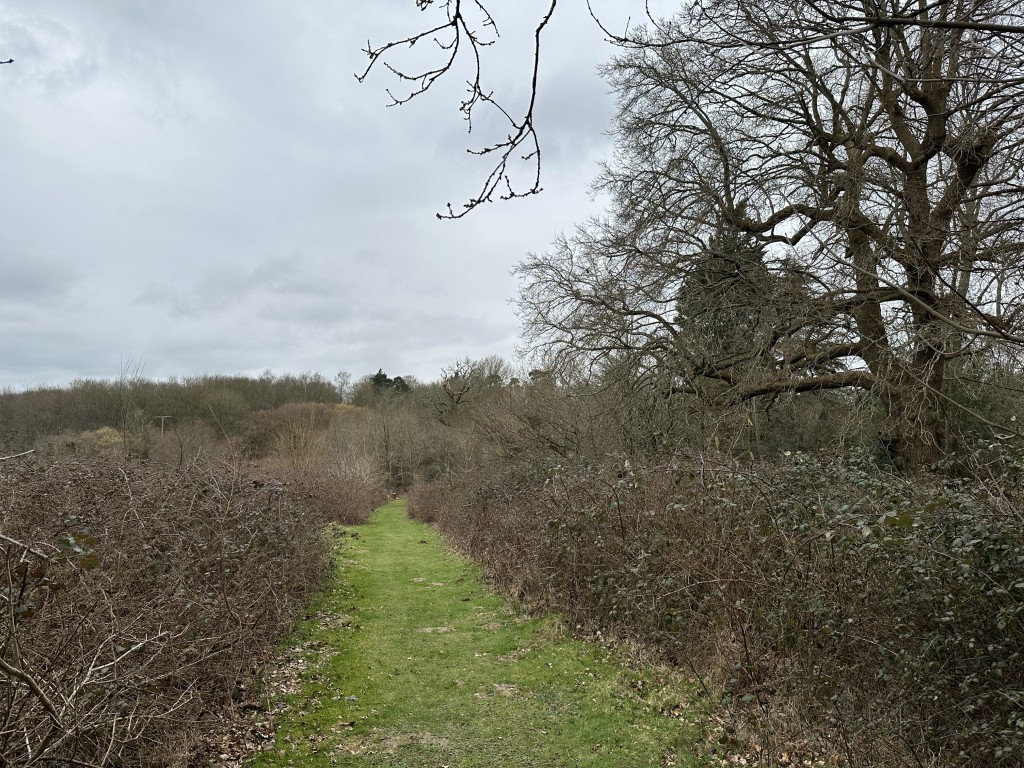 Lot: 74 - 0.29 ACRES OF FREEHOLD BROWNFIELD LAND IN A VILLAGE SETTING - Further grass track through land